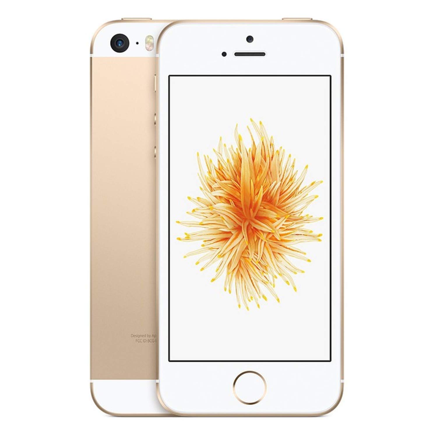 Apple iPhone SE 128GB ゴールド Apple iPhone SE, 128GB, Gold - For Verizon (Renewed) : Amazon.ca